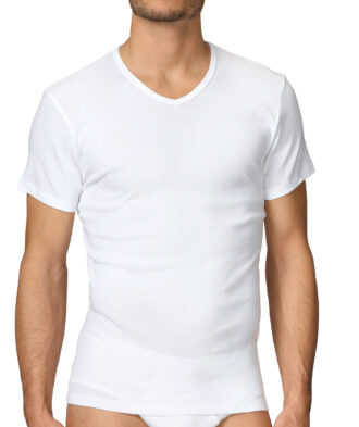 Calida T-Shirt 14315 cotton 1:1