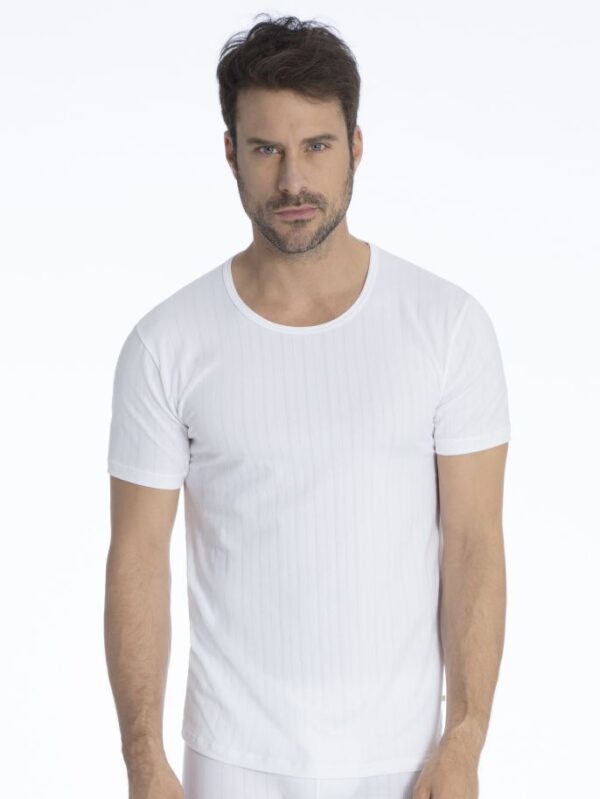 Calida T-Shirt 14886