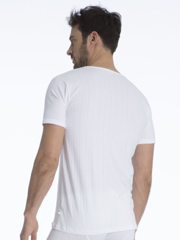 Calida T-Shirt 14986 (ex 14117) pure & style