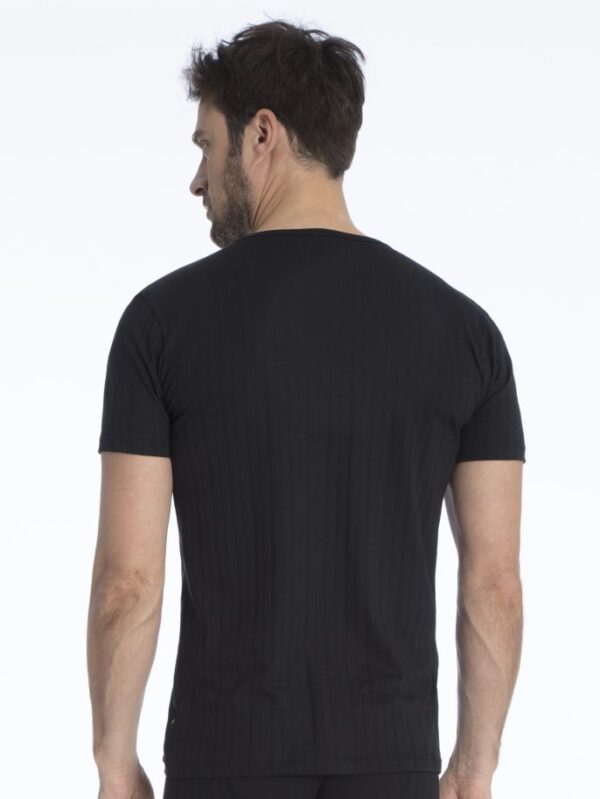 Calida T-Shirt 14986 (ex 14117) pure & style
